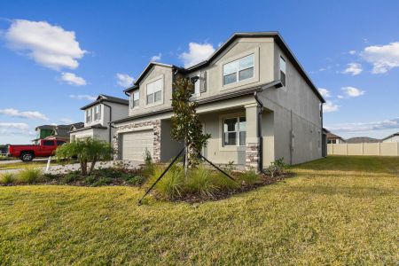 New construction Single-Family house 38433 Pindos Dr, Dade City, FL 33525 Mira Lago- photo 182 182