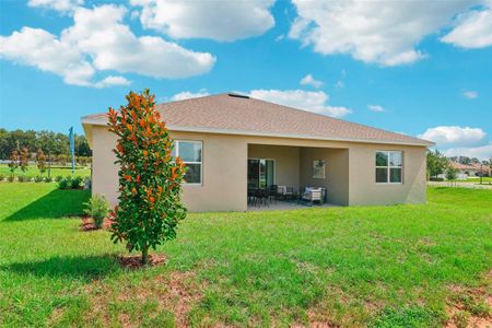 New construction Single-Family house 311 Branchwood Pl, Titusville, FL 32796 null- photo 38 38