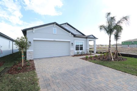 New construction Single-Family house 3142 Adams Cross Dr, Zephyrhills, FL 33540 Picasso- photo 99 99