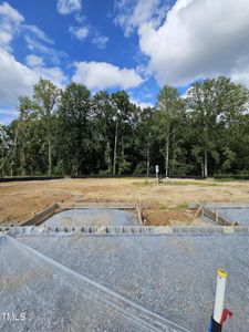 New construction Townhouse house 1322 Bessie Ct, Wake Forest, NC 27587 null- photo 3 3