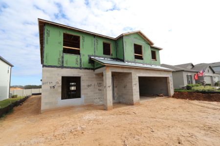 New construction Single-Family house 12294 Hilltop Farms Dr, Dade City, FL 33525 Malibu- photo 43 43