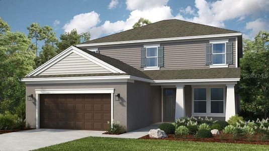 New construction Single-Family house 735 Sky Shade Dr, Apollo Beach, FL 33572 plan Bahama - image