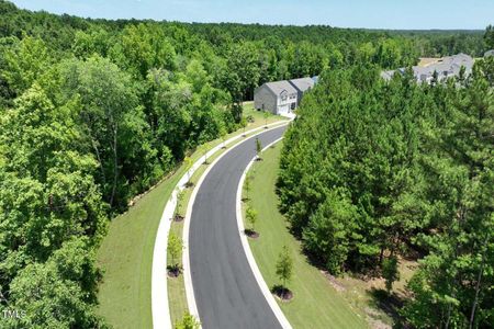 New construction Single-Family house 261 Umstead St, Sanford, NC 27330 JORDAN- photo 43 43