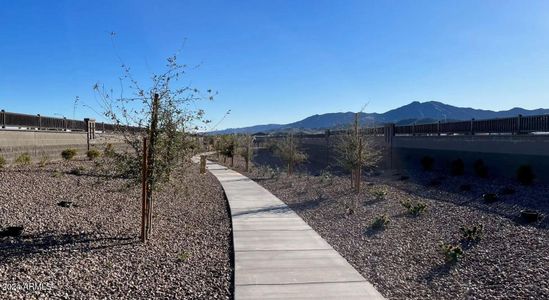 New construction Single-Family house 5817 W Moody Trail, Laveen, AZ 85339 - photo 7 7