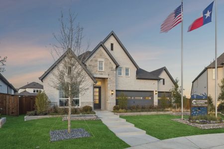 New construction Single-Family house 249 Bee Balm Rd, McKinney, TX 75071 plan Sweetwater II - image