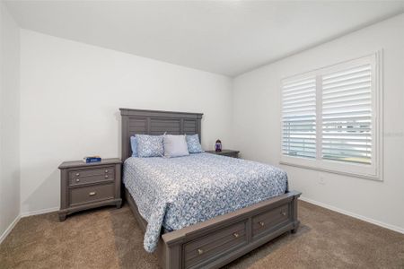 New construction Single-Family house 13142 Cedar Elm Ln, Parrish, FL 34219 - image 13