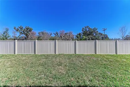 New construction Single-Family house 13076 Homestead Ln, Parrish, FL 34219 plan Islamorada I - image 3