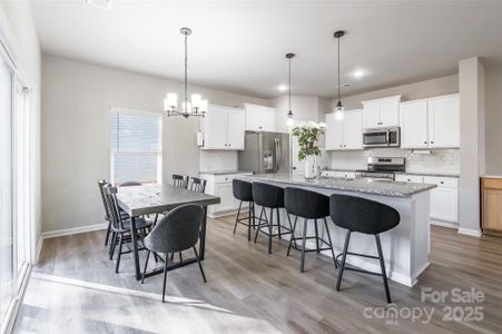 New construction Single-Family house 3228 Mcgee Hill Dr, Charlotte, NC 28216 - image 8