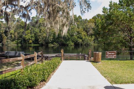 New construction Single-Family house 19610 Sw 93Rd Pl, Dunnellon, FL 34432 null- photo 68 68