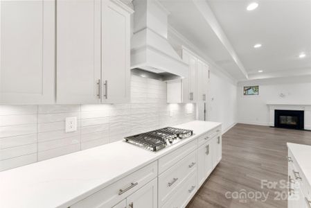 New construction Single-Family house 411 Newstyle Wy, Gastonia, NC 28056 - image 7