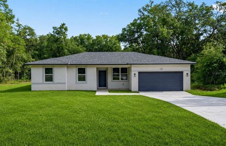 New construction Single-Family house 1197 W G Martinelli Blvd, Citrus Springs, FL 34434 - image
