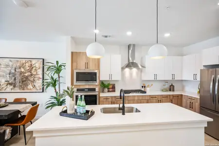 New construction Condo house 719 E Locust, Unit 2109, San Antonio, TX 78212 - image 5