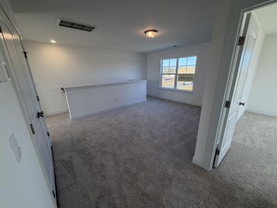 New construction Single-Family house 18 Cedar Run Ct, Benson, NC 27504 plan Ellerbe - image 13