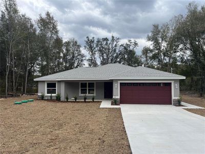 New construction Single-Family house 64 Guava Pass, Ocklawaha, FL 32179 - image