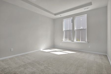 New construction Single-Family house 3004 Coastal Dream Wy, Leland, NC 28451 plan Hyacinth - image 17