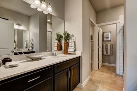 New construction Multi-Family house 6809 Maple Leaf Dr, Unit 202, Timnath, CO 80547 plan Monarch - image 19