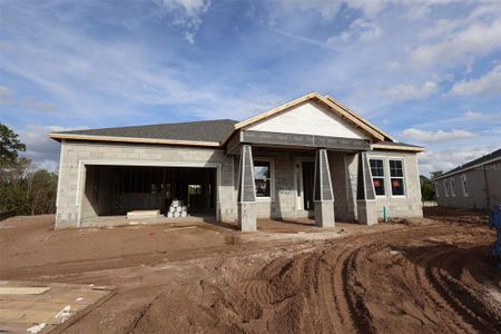 New construction Single-Family house 5439 Park Guell St, St. Cloud, FL 34771 plan Tranquility - Eco Grand Series - image