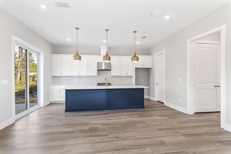New construction Single-Family house 143 Walton Palm Rd, Inlet Beach, FL 32461 plan Pearl - image 13