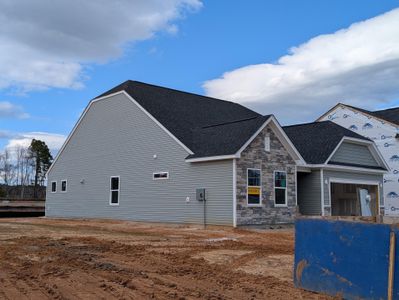 New construction Single-Family house 119 Palfrey Dr, Ridgeville, SC 29472 Avery- photo 1 1