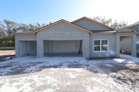 New construction Single-Family house 20339 Oriana Loop, Land O' Lakes, FL 34638 Newport II- photo 71 71