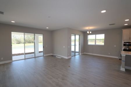 New construction Single-Family house 1787 Drummond Pt, Zephyrhills, FL 33541 Sonoma II- photo 110 110