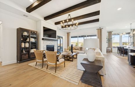 New construction Single-Family house 901 Cormorant Dr, McKinney, TX 75071 plan Stellar - image 19