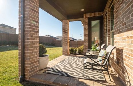 Backyard/Patio