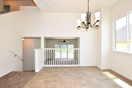 New construction Single-Family house 437 Vivid Ln, Windsor, CO 80550 null- photo 18 18