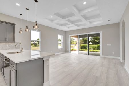 New construction Single-Family house 51 E Diamond Dr, Palm Coast, FL 32164 plan Birkdale - image 14