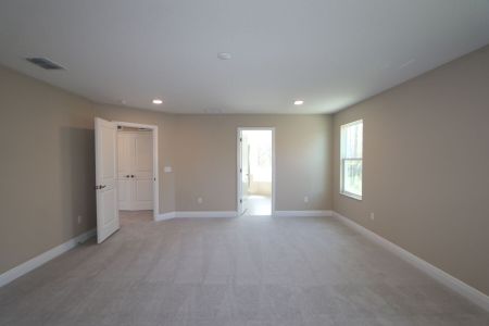 New construction Single-Family house 20125 Oriana Loop, Land O' Lakes, FL 34638 Santina II- photo 184 184