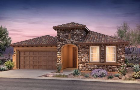New construction Single-Family house 3855 N Sun City Blvd, Florence, AZ 85132 plan Preserve - image 15