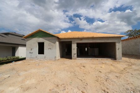 New construction Single-Family house 12188 Hilltop Farms Dr, Dade City, FL 33525 Ventura- photo 14 14