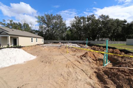 New construction Single-Family house 11984 Hilltop Farms Dr, Dade City, FL 33525 Casanova- photo 9 9