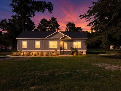 New construction Single-Family house 168 Willow Ct, Walterboro, SC 29488 - image