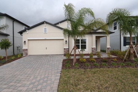 New construction Single-Family house 4763 Beachrose Way, Lakeland, FL 33811 Picasso- photo 44 44