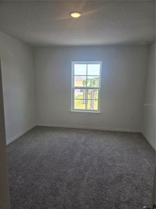 Delaney Reserve by Hartizen Homes in Deland - photo 35 35