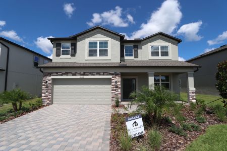 New construction Single-Family house 38433 Pindos Dr, Dade City, FL 33525 Mira Lago- photo 127 127