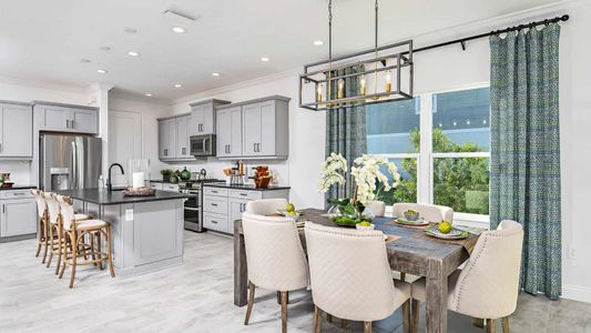 New construction Single-Family house 2440 Star Apple Wy, Lakewood Ranch, FL 34240 plan Triumph - image 8