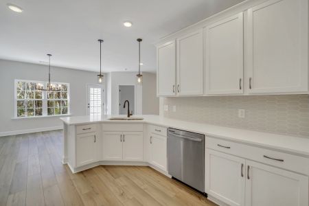 New construction Single-Family house Richmond Hill, GA 31324 plan Wassaw - image 18