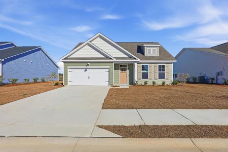 New construction Single-Family house 4111 Collins Farm Wy, Unit 80, Conway, SC 29526 - image