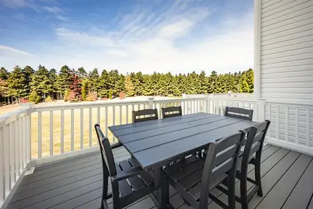 New construction Single-Family house 2424 Green Juniper Wy, Gainesville, GA 30507 - image