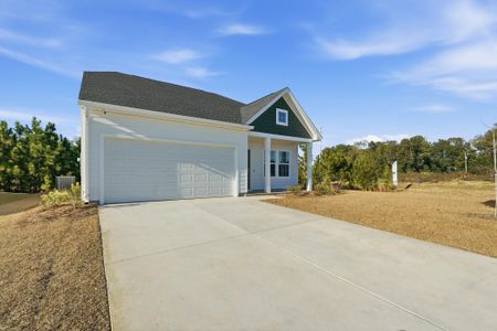 New construction Single-Family house 260 Clarabelle Ln, Summerville, SC 29483 - image