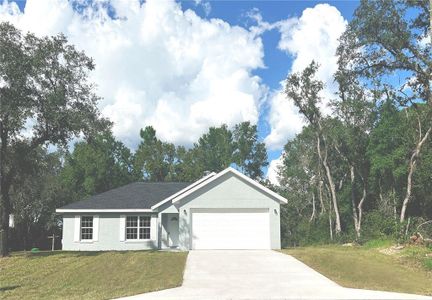 New construction Single-Family house 9274 N Citrus Springs Blvd, Citrus Springs, FL 34434 null- photo 0