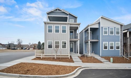 New construction Single-Family house 3052 Curly Grove, Colorado Springs, CO 80922 plan Primrose - image