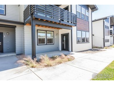 New construction Multi-Family house 2120 Falling Leaf Dr, Unit 4, Windsor, CO 80550 Carnegie- photo 1 1