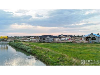 New construction Single-Family house 145 Boxwood Dr, Windsor, CO 80550 null- photo 0