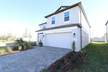 New construction Single-Family house 38350 Tobiano Loop, Dade City, FL 33525 Cabo- photo 149 149