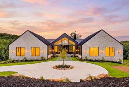 New construction Single-Family house 198 Big View Trl, Mineral Bluff, GA 30559 - image