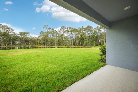 New construction Single-Family house 33857 Landsman Loop, Wesley Chapel, FL 33543 null- photo 55 55