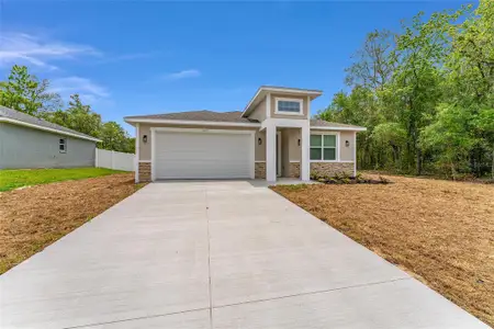 New construction Single-Family house 16357 Se 88Th Ct, Summerfield, FL 34491 - image